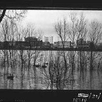 Negative, Safety, Unknown