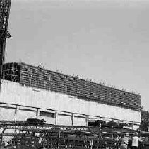 Negative, Safety, Unknown