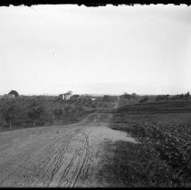 Views of orchards and homes, facing east, showing the corner of Sunset Ave. and Fair Oaks Blvd. Kale home on the left