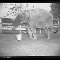 Negative, Safety, Unknown