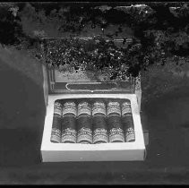 Negative, Glass Plate