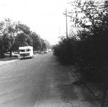 Residential street with overgrown shrubs and vehicles