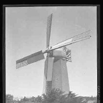 The windmill in Golden Gate Park