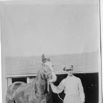 Teenager and Horse