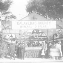 Tokay Carnival Lodi, California