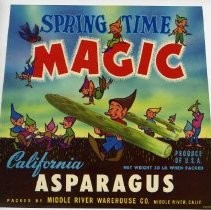 Spring Time Magic brand