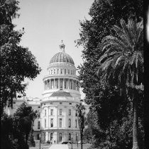 View of the Capitol