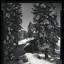 Negative, Safety, Unknown