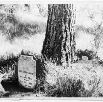 El Dorado County grave