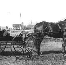 "Horse & Buggy"