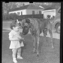 Negative, Safety, Unknown