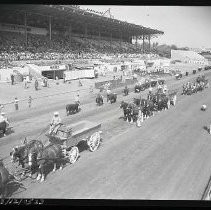 Negative, Safety, Unknown