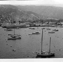 Boats docked at Catalina Island, CA