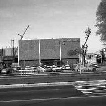 Negative, Safety, Unknown