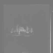 Negative, Safety, Unknown