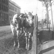 Delivery Carriage