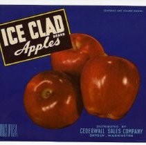 Ice Clad Brand