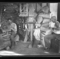 Almond Association Warehouse