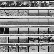 Photos of Farming After Flood