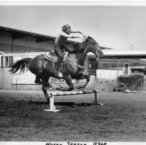 Richie Haley, on horseback, scurry race, competing in a gymkhana