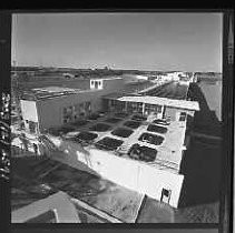 Negative, Safety, Unknown