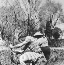 Three Gardeners