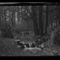 A French woodland scene