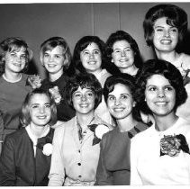 Group image of the Camellia Festival queen candidates