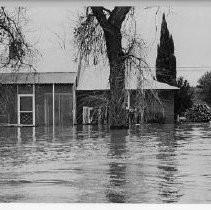 Flooded House