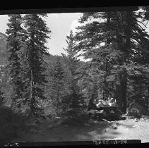 A couple sitting at a picnic table