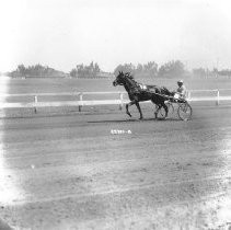 Harness Racer