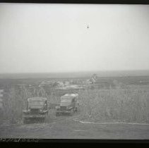 Negative, Safety, Unknown