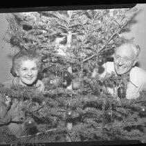 A couple behind a Christmas tree