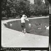 Negative, Safety, Unknown