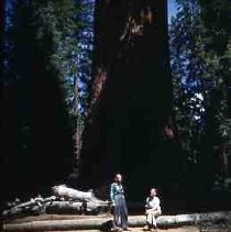 Slides of California Historical Sites. Phil Puderer, Rogers Young at Wawona Grove, Yosemite National Park