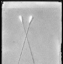 Negative, Glass Plate