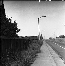 Street with fence and overgrown weeds