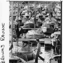 Brown's Ravine-"Like most in the area, marina at Brown's Ravine in Folsom Lake is jampacked."