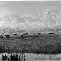 Mt. Tain from Bishop