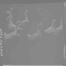 Negative, Safety, Unknown