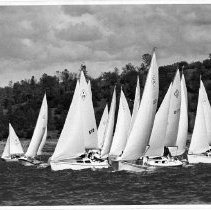 Clustered Sailboats on Folsom Lake