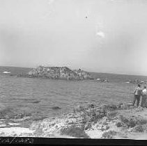 Negative, Safety, Unknown