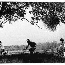 Bicyclers on American River Trail