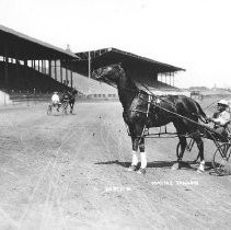 Harness Racer