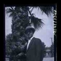 An young man standing next to a palm tree