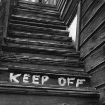 Cat Sleeps on Old Stairway in Locke