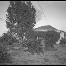 Negative, Glass Plate