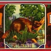 BEAVER Brand Flame Tokays