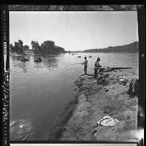 Negative, Safety, Unknown