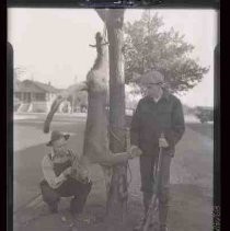 Two men with dead mountain lion